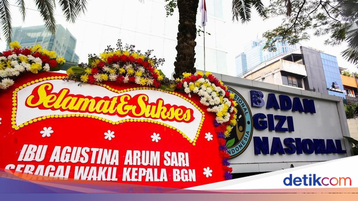 Pagu Anggaran BGN Rp 270 Triliun, DPR Minta Susun Ulang