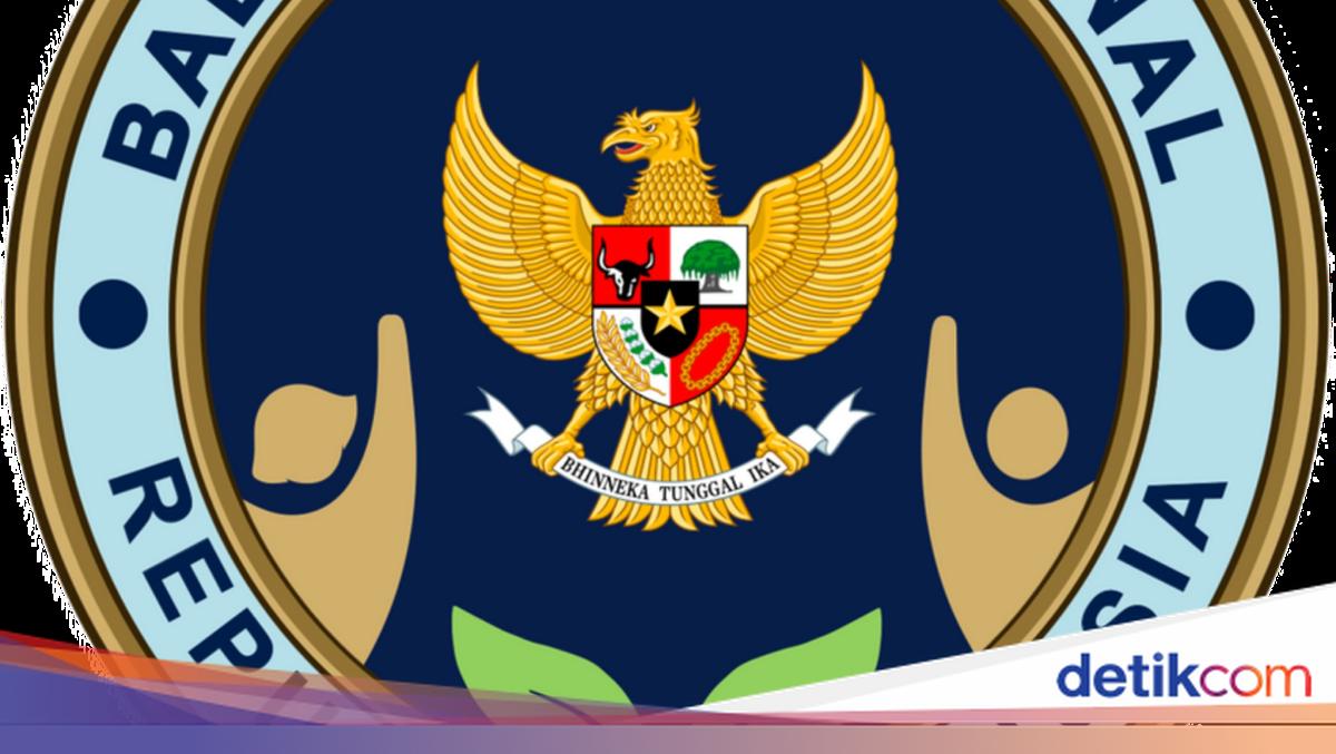 Profil 3 Pimpinan Baru BGN Usai Dadan Hindayana dkk Dicopot Prabowo
