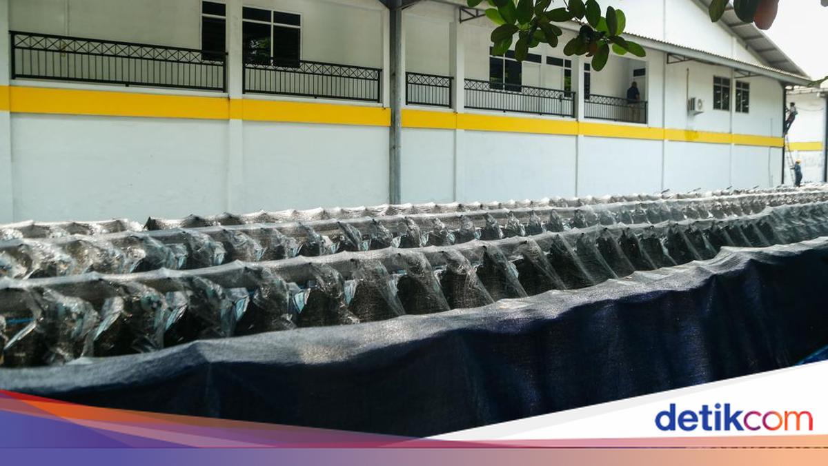 21 Ribu Motor Listrik MBG Sudah Dibayar, Akan Dimanfaatkan Secara Maksimal