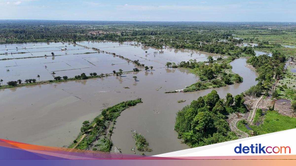 Banjir Rendam 7 Kecamatan di Lutra: 12 Ribu Warga Terdampak-Ratusan Mengungsi