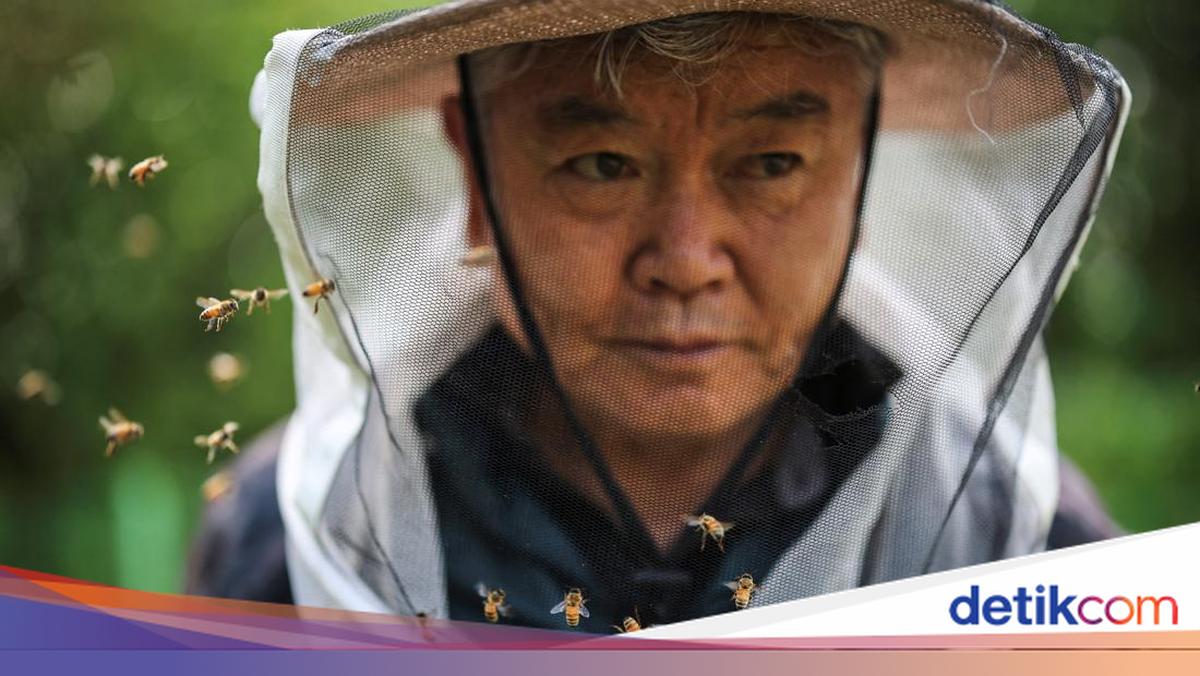 Perubahan Iklim Ancam Peternak Lebah Korea Selatan
