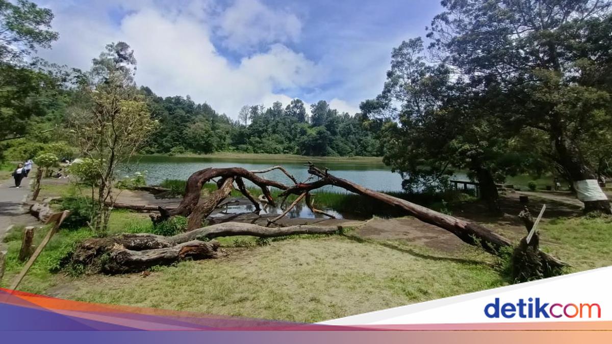 Ranu Regulo Jadi Destinasi Berkemah Favorit di TNBTS