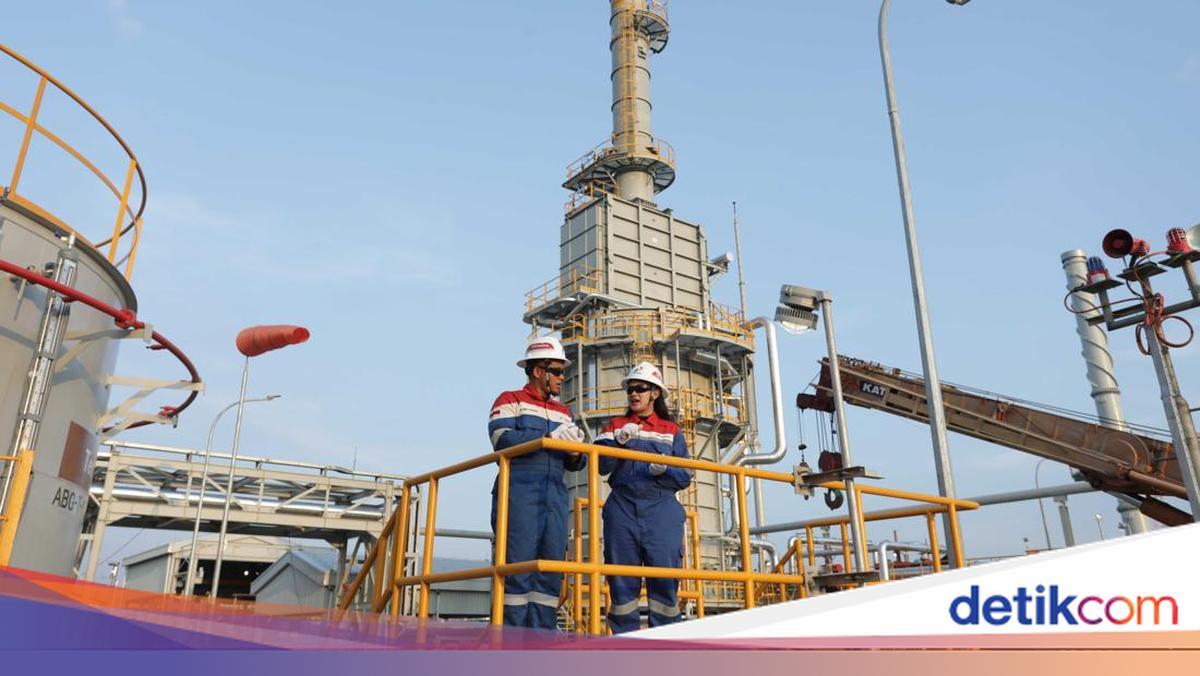Pertamina EP Temukan Cadangan Migas Baru 133 Juta Barel Setara Minyak