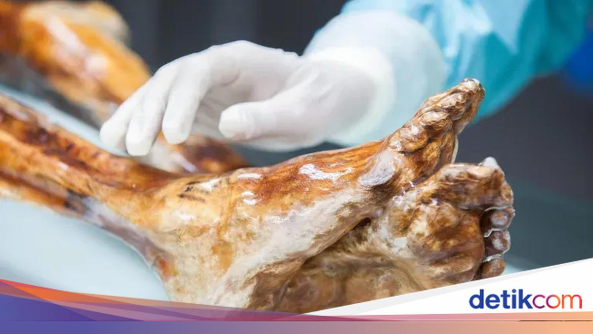 Gokil! Eksperimen Bikin Sourdough pakai Ragi dari Tubuh Mumi
