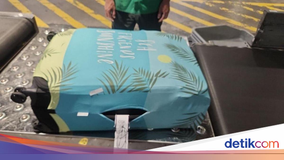 2 WN Rusia Ditangkap BNN Usai Bawa Narkoba Hashish, Apa Itu?