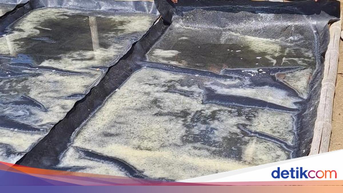 Menengok Produksi Garam Tradisional Palungan Desa Les Bali