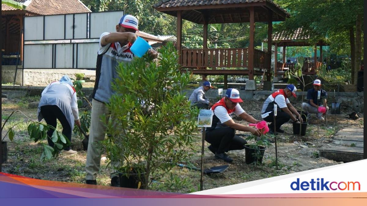 Pertamina Tanam 1.000 Pohon &amp; Perkuat Inovasi Pengelolaan Sampah