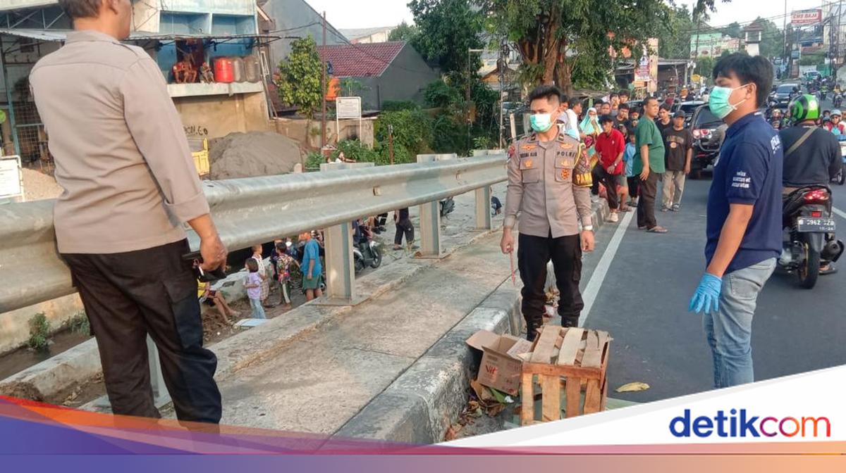 Benda Dikira Mayat Bayi di Flyover Gegerkan Warga Depok, Ternyata Kucing Mati