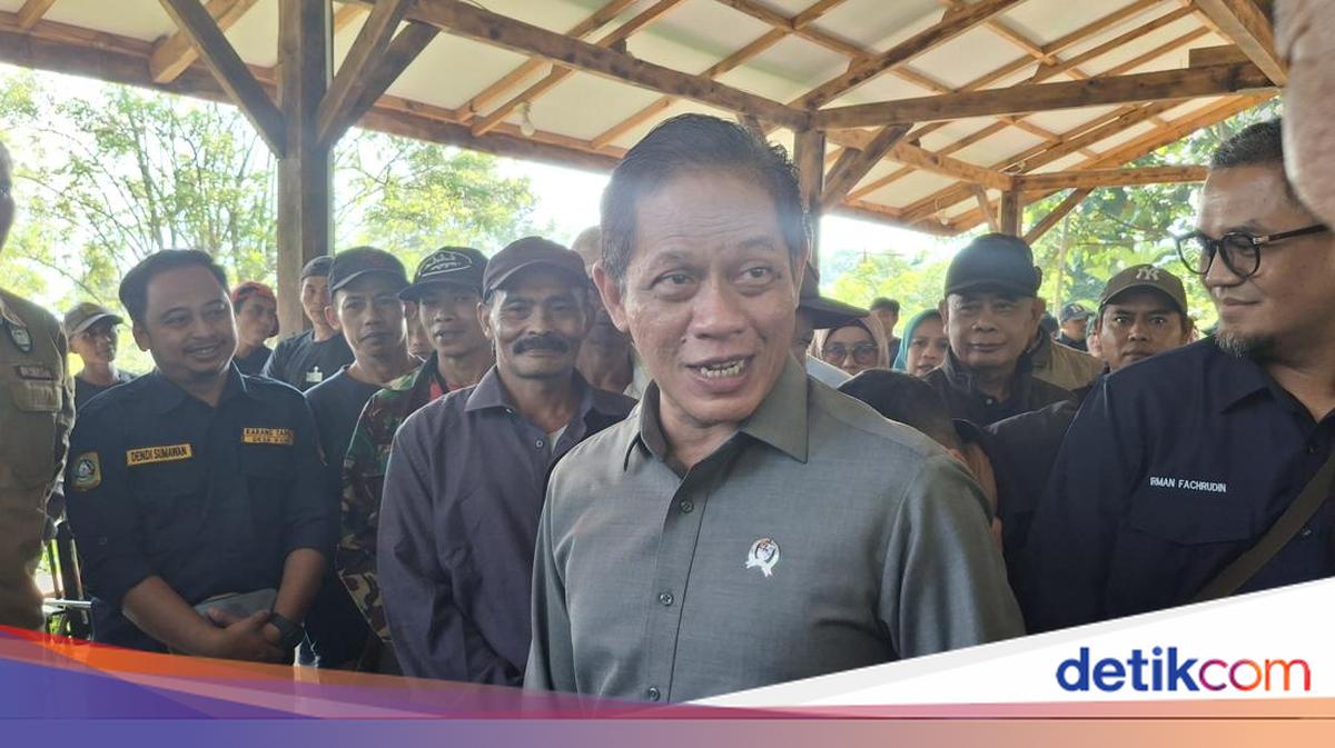 Wamenko Pangan Soroti Kebutuhan Susu Nasional: 80% Dipenuhi dari Impor