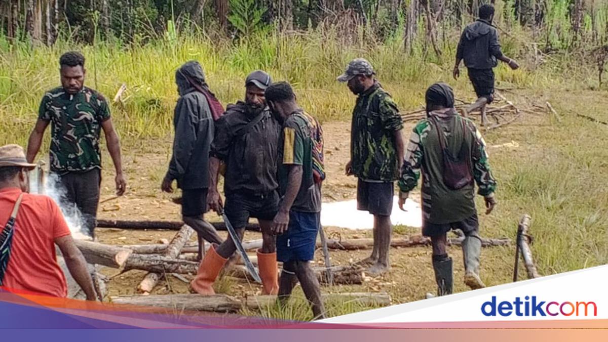 Sisa Amunisi OPM Meledak di Papua Pegunungan, Remaja Lagi Cari Kelapa Tewas