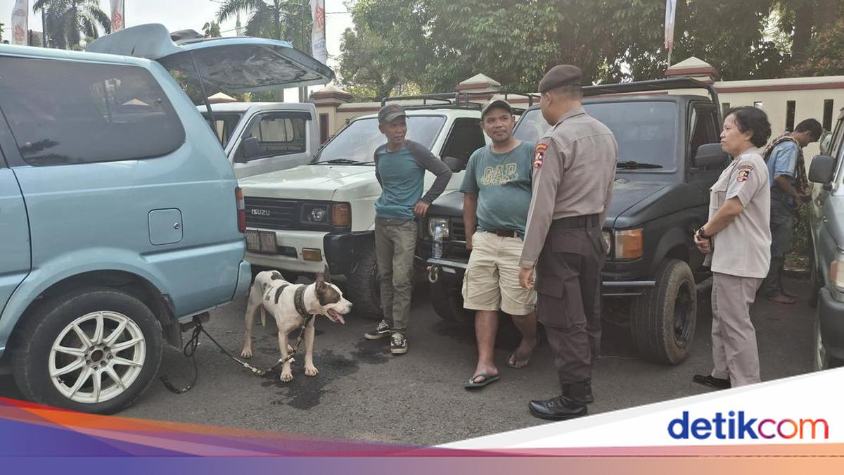 Tak Ada Lagi Aktivitas Berburu Babi di Jasinga Usai Heboh Anjing Serang Bocah