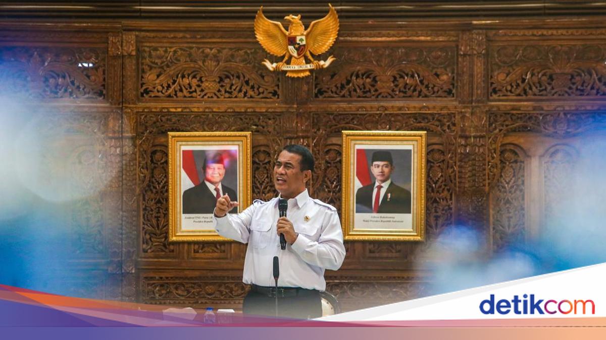 Respons Amran Tak Punya Wamen Usai Sudaryono Jadi Kepala BGN