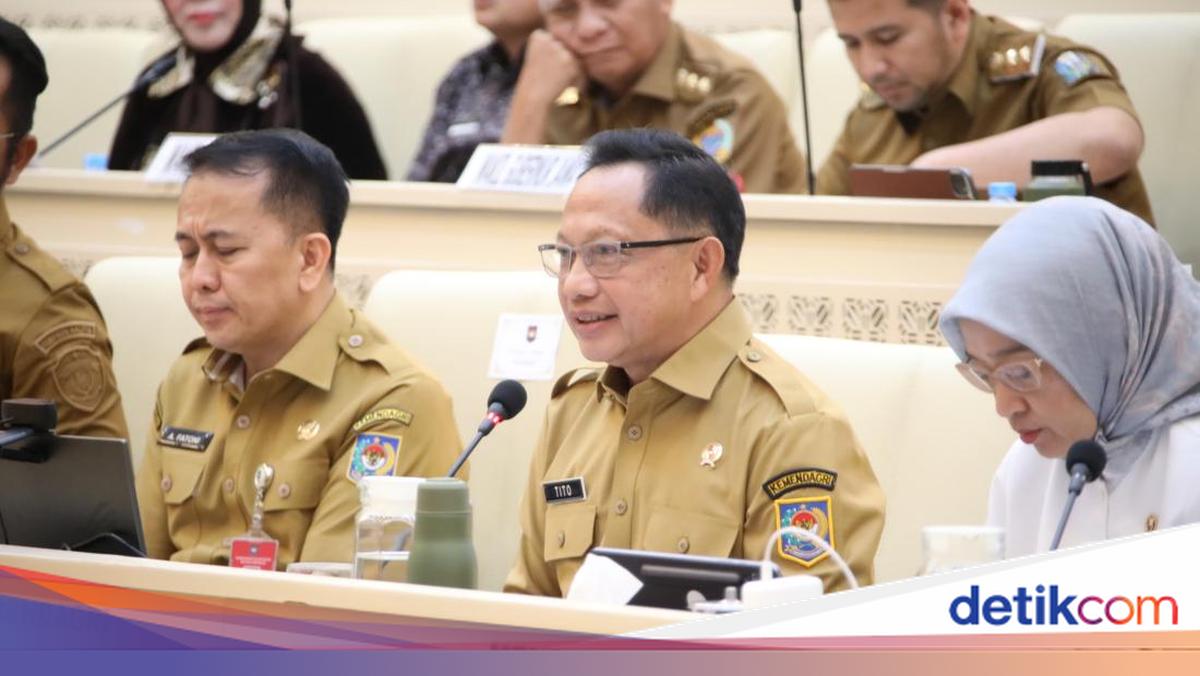 Rapat Bareng DPR, Mendagri Beberkan Solusi Penataan PPPK di Daerah