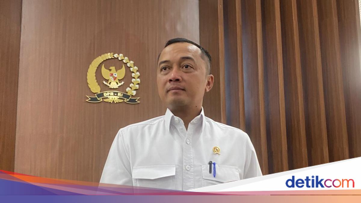 Majelis Etik Pecat Ketua Ombudsman Hery Susanto, Istana: Kita Hormati