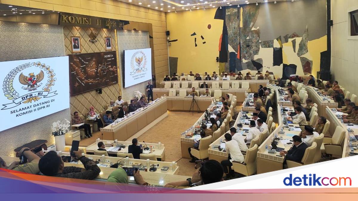 Mendagri Ungkap Banyak Tenaga Honorer yang Dulunya Timses Kepala Daerah