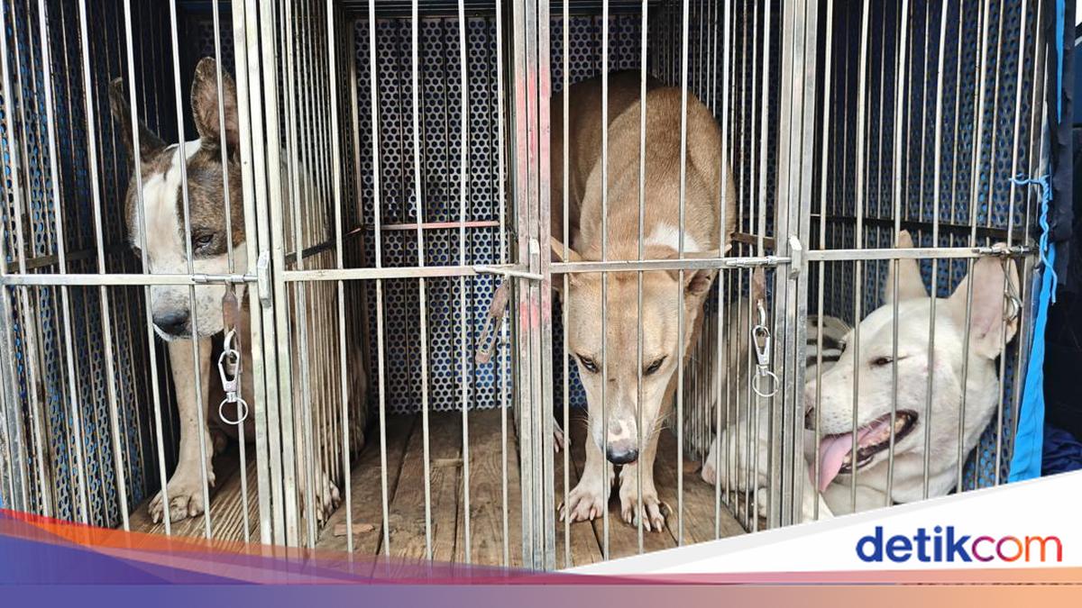 Solehudin berduka setelah putranya, MAS (9), tewas