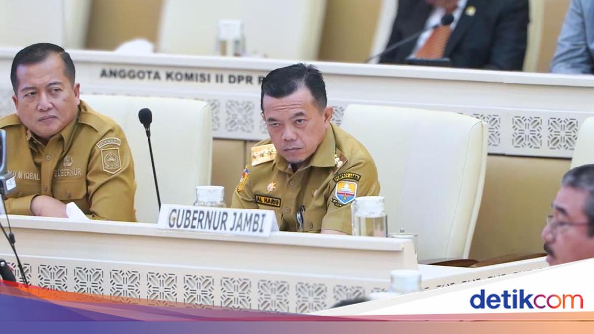 Al Haris Perjuangkan Nasib PPPK ke DPR, Dorong Relaksasi Belanja Pegawai