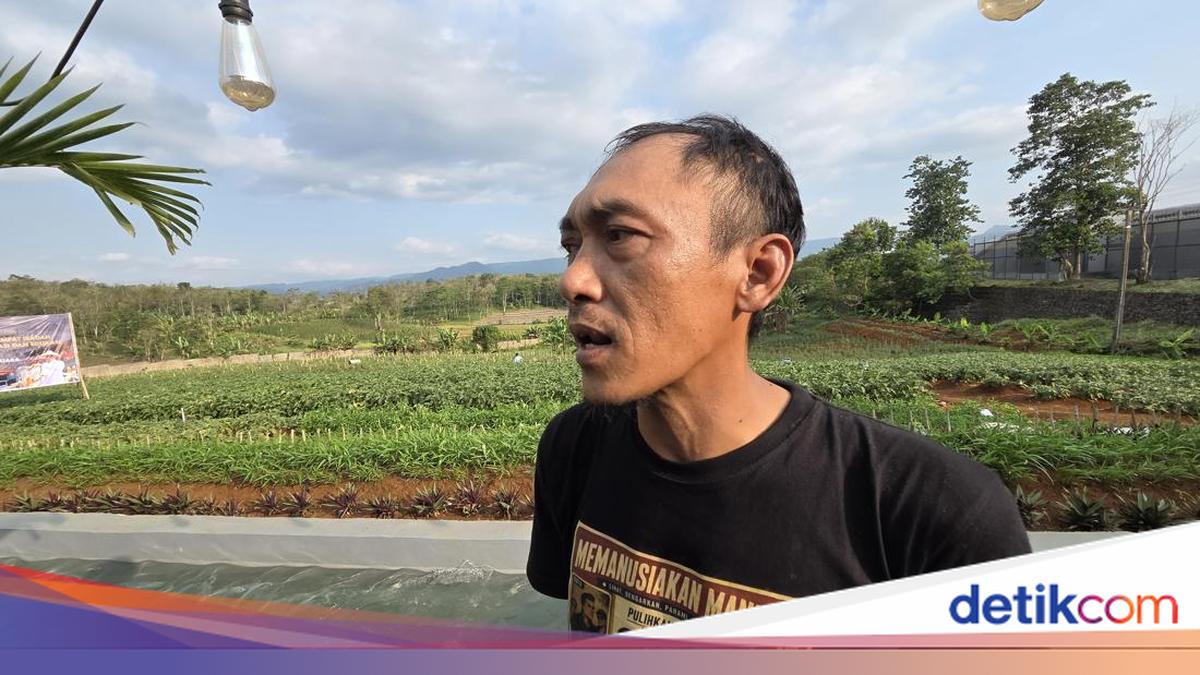 Cerita Napi Lapas Warungkiara Senang Bisa Bertani Sambil Jalani Hukuman
