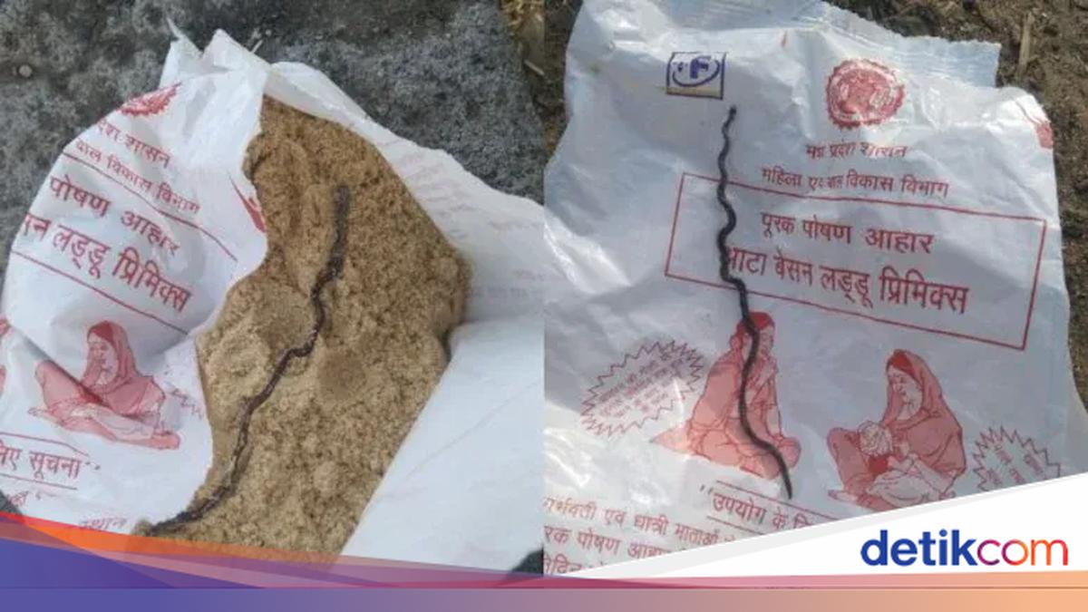 Ngeri! Ibu Hamil Temukan Bangkai Anak Ular dalam Paket Makanan