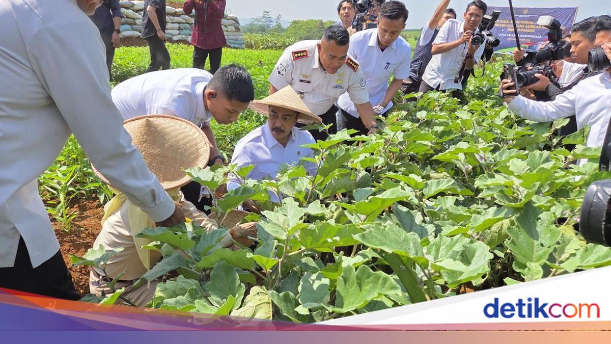 Menteri Imipas Minta 10% Laba Usaha Lapas-Rutan Disetor untuk Program Sosial