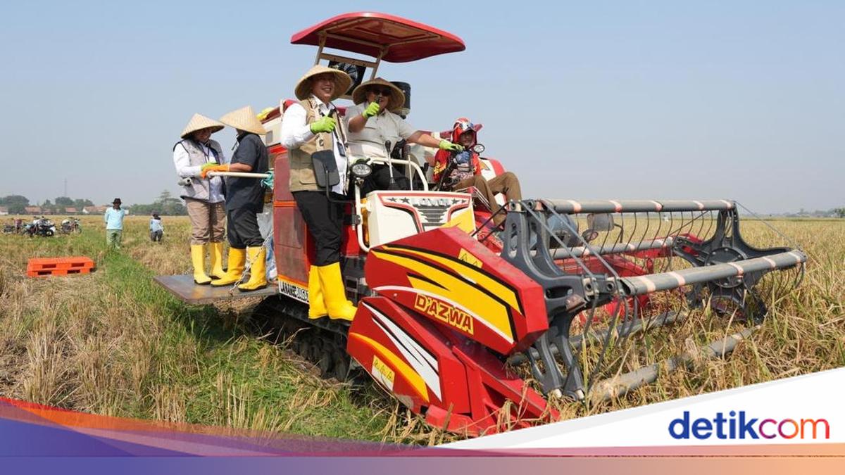 BPK Dukung BULOG Wujudkan Ketahanan Pangan Lewat Penguatan Swasembada
