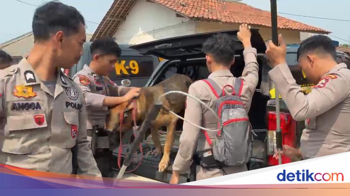 Polres Bogor Kerahkan K-9 Lacak Anjing Pemburu yang Lepas di Jasinga