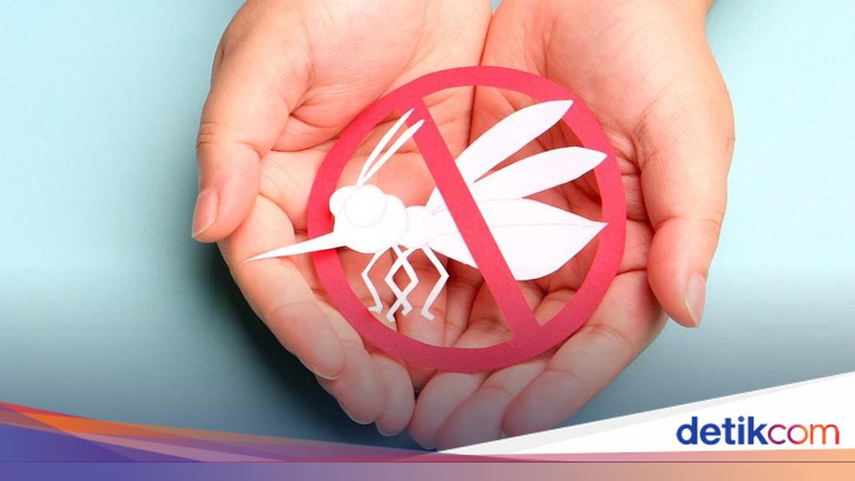 Hari Demam Berdarah ASEAN 2026: Tema dan Pesan Peringatannya 15 Juni