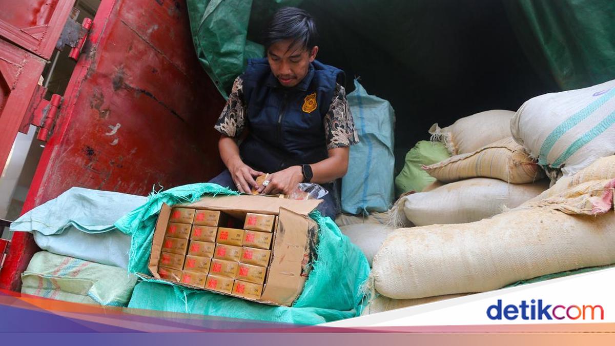 Bea Cukai Bongkar Modus Licik, Jutaan Rokok Ilegal Diselundupkan Lewat Truk Pakan