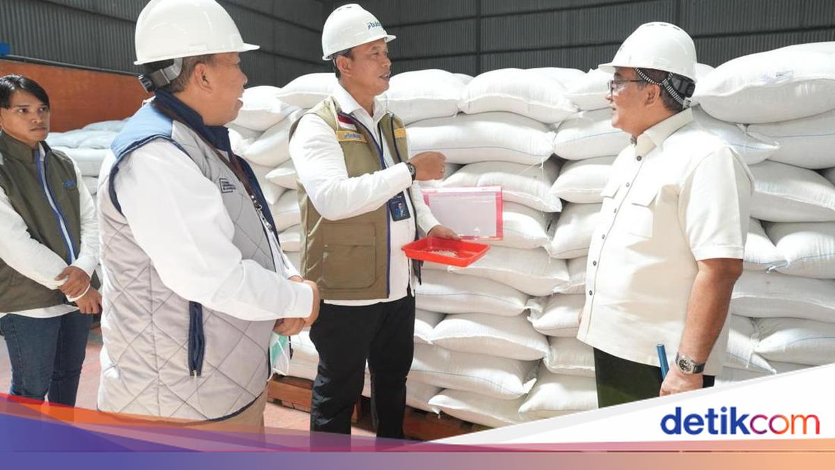 BPK Apresiasi Kinerja BULOG, Pengadaan Gabah dan Beras Capai 77%