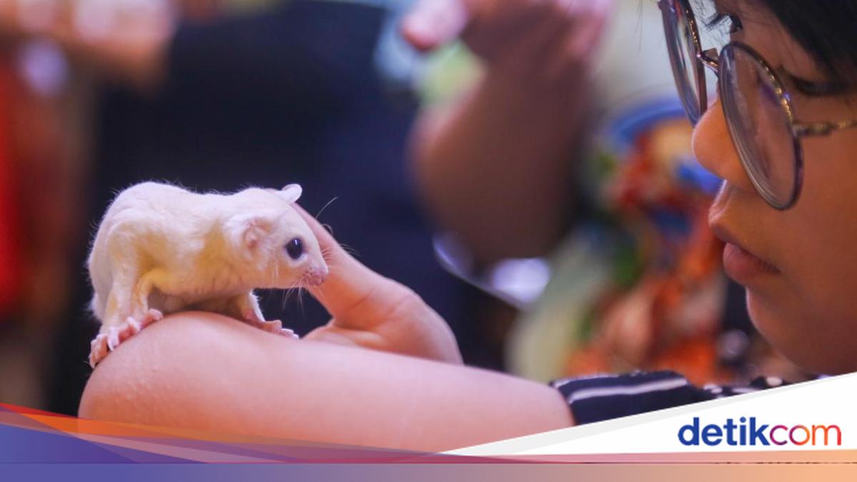 Dari Hobi Jadi Peluang Bisnis, Pameran Internasional Dongkrak Ekonomi Kreatif