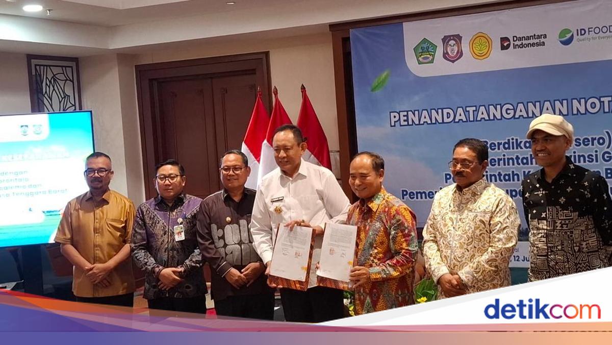Prabowo Pantau Proyek Hilirisasi Ayam, Kementan: Tak Boleh Santai-santai