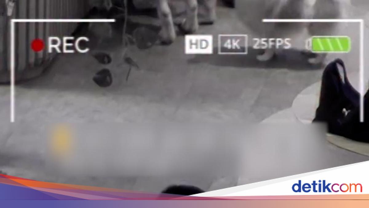 Polisi Duga Pria Lecehkan Anjing Pom di Jakut Punya Penyimpangan Seksual