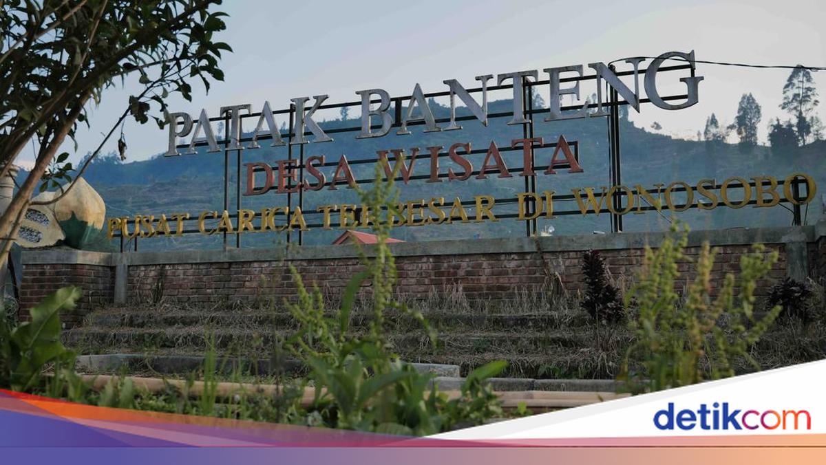 Ini Desa Patakbanteng di Dieng yang Bikin Bakti BCA Melirik
