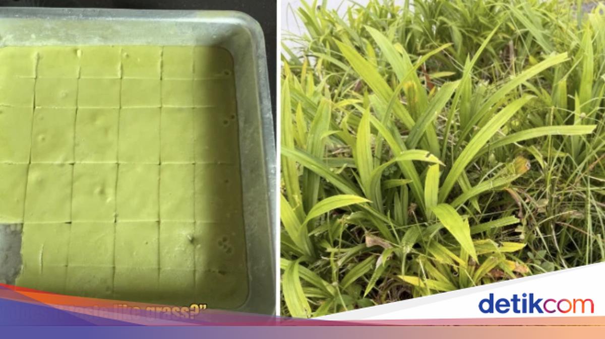 Viral Kue Pandan Rasa Rumput, Semua Gara-gara Salah Petik Daun!