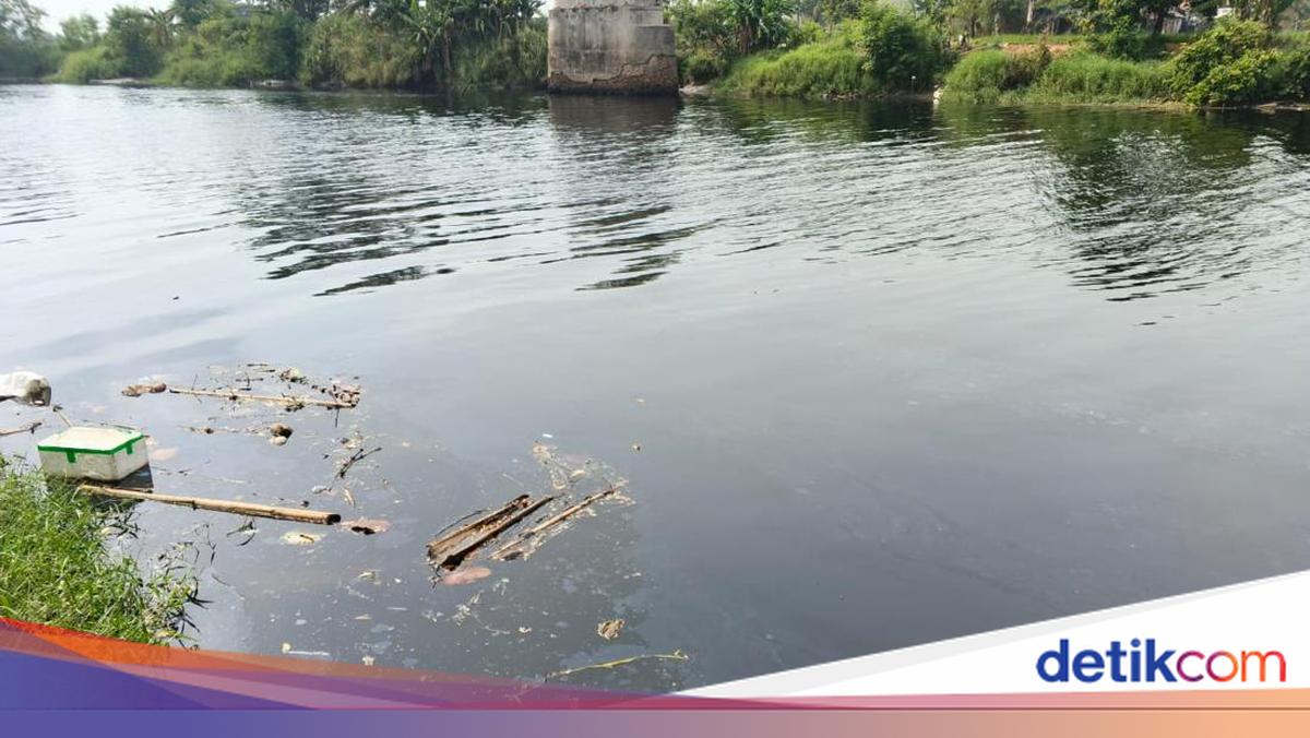Diduga Tercemar, Sungai Ciujung Serang Berwarna Hitam dan Bau Menyengat