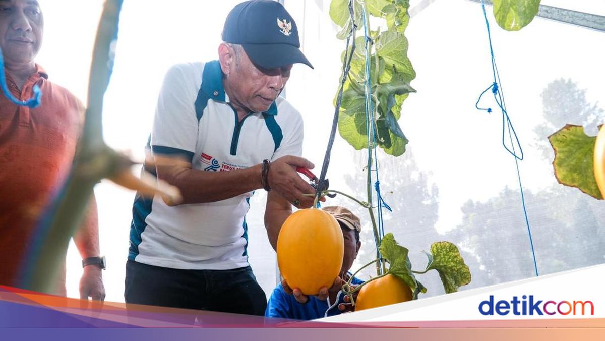Panen Melon di STPL Bekasi, Wamensos Dorong Sentra Jadi Pusat Pemberdayaan