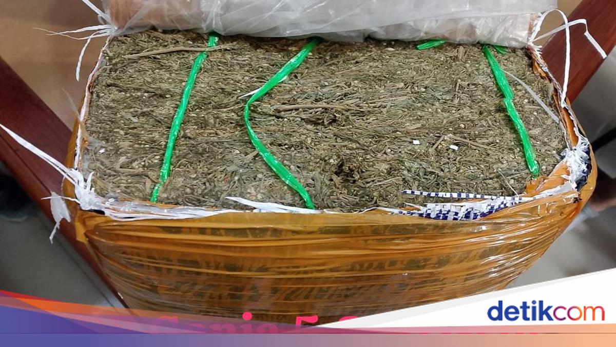 Bareskrim Gagalkan Pengiriman 5,8 Kg Ganja di Jatim, 3 Orang Ditangkap