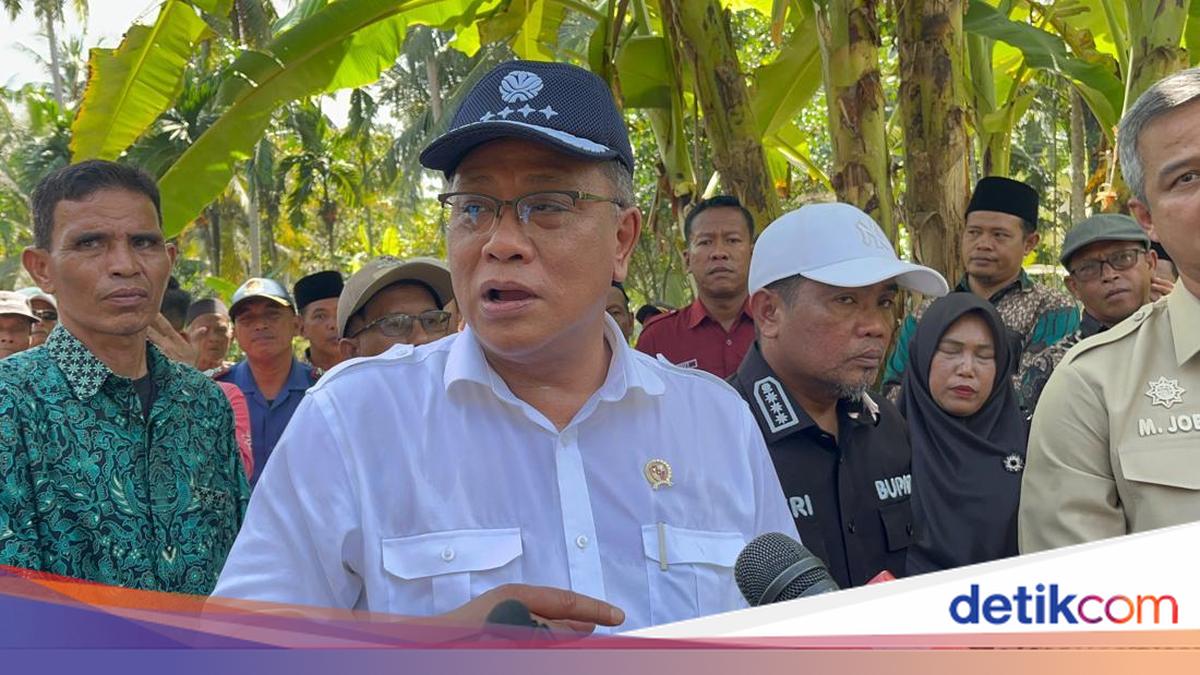 Menteri LH Minta Pengepul Sawit Tak Cuma Ambil Untung, tapi Ikut Cegah Karhutla