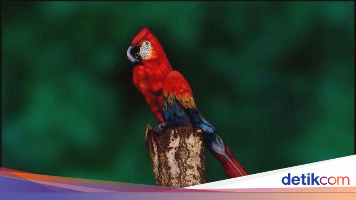 Sekilas Normal, Tapi 10 Foto Ini Menyimpan Kejutan Menarik Tak Terduga