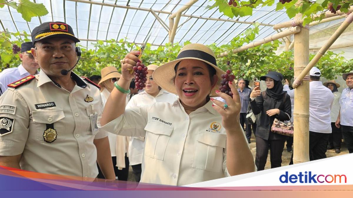 Titiek Soeharto Icip Anggur Rawatan Napi Nusakambangan: Enak, Manis