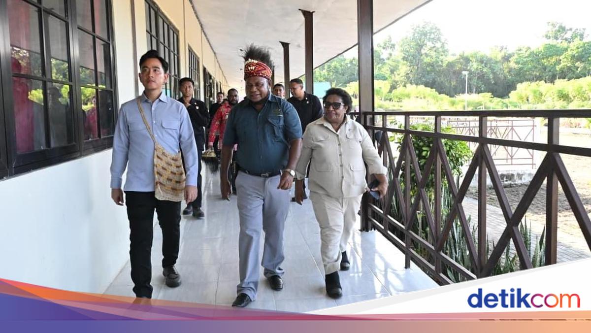 Dampingi Wapres ke Papua Barat, Wamendagri Pantau Manfaat Dana Otsus