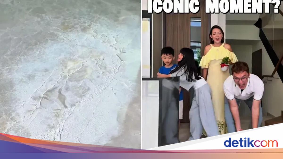 Tinggalkan Nanas 3 Hari di Rumah Baru, Keluarga Ini Malah Kena Apes