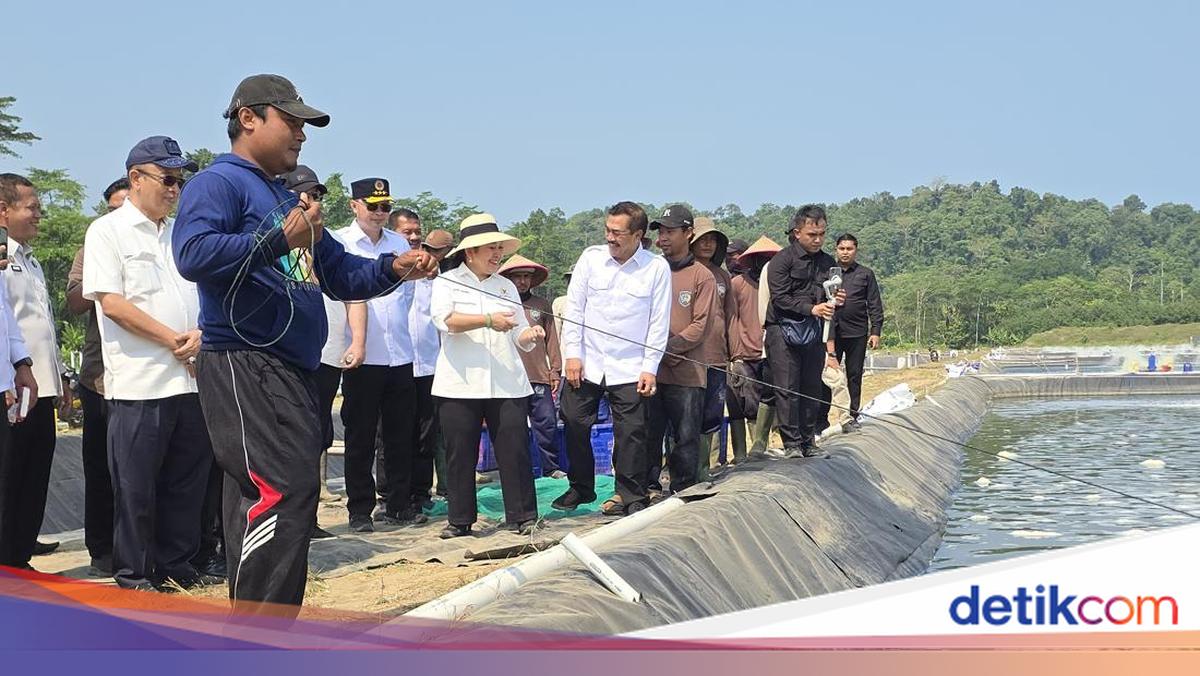 Titiek Sapa Napi di Kolam Udang Nusakambangan: Senang Nggak, Ada Kesibukan?