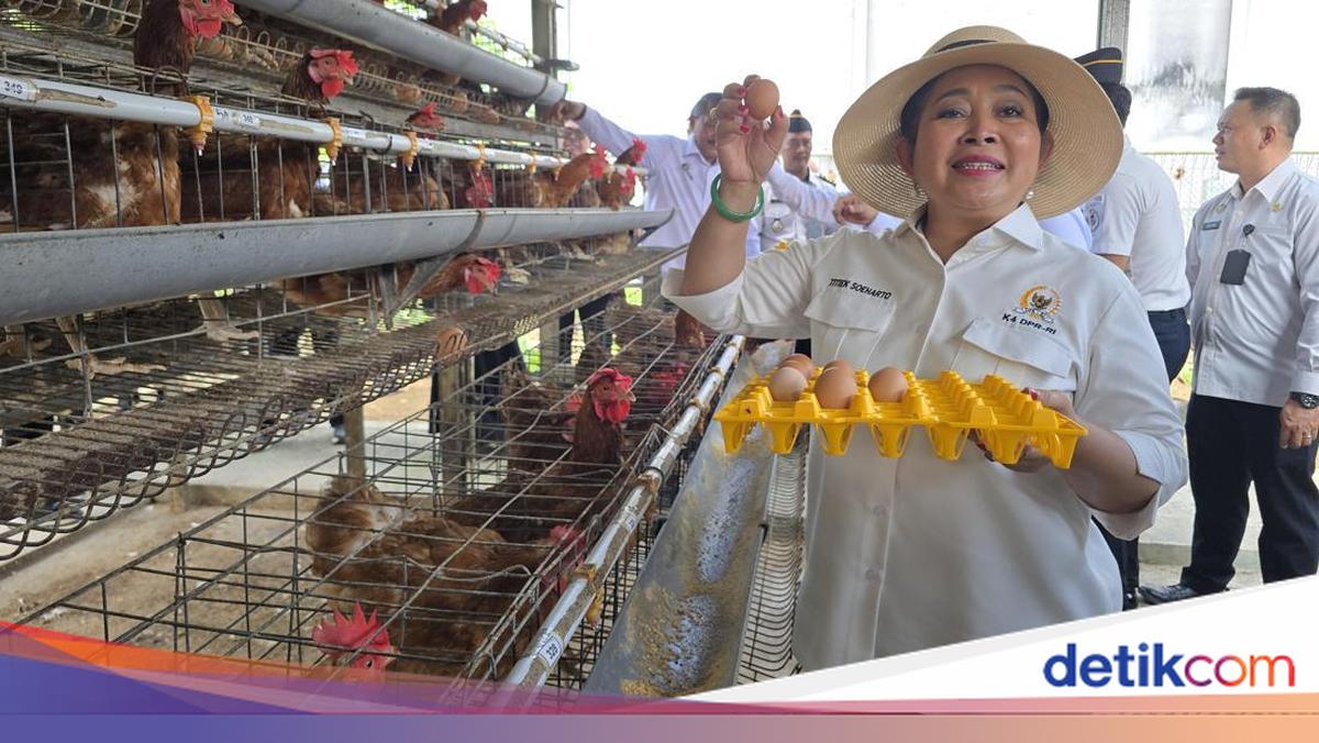 Titiek Soeharto Sebut Ketahanan Pangan di Nusakambangan Adalah 'Cambuk'
