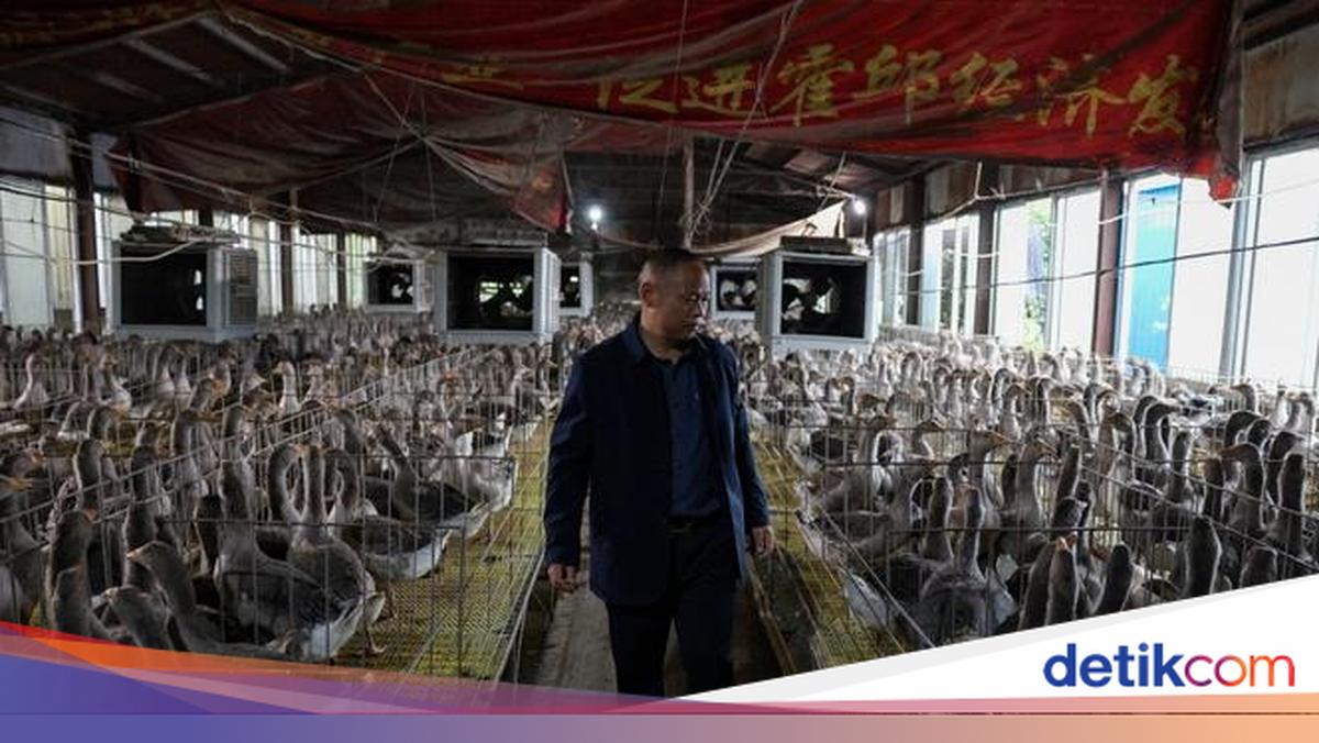 Bisnis Foie Gras, Pria yang Pernah Kelaparan Ini Sekarang Hidup Mewah