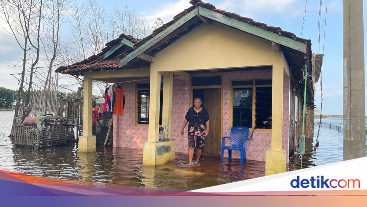 Banjir Rob di Tunggulsari Pati Bertahan Sebulan, Warga Keluhkan Gatal-gatal dan Susah Tidur