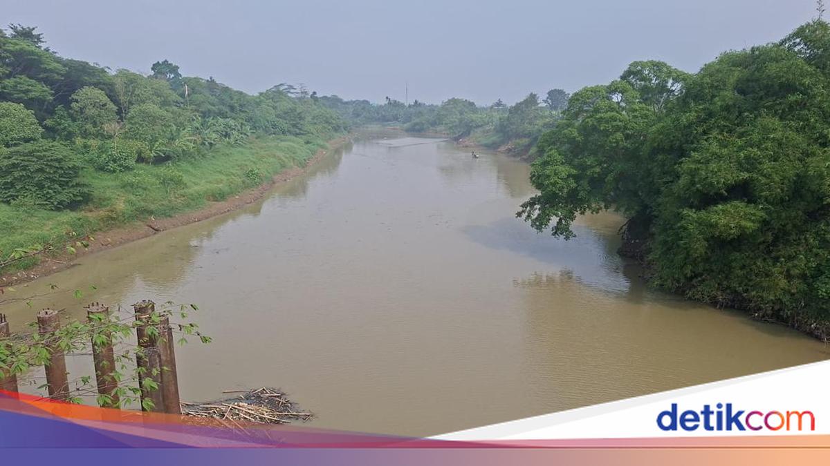 Sungai Ciujung Diduga Tercemar, Dinas LH Serang Bakal Panggil Industri
