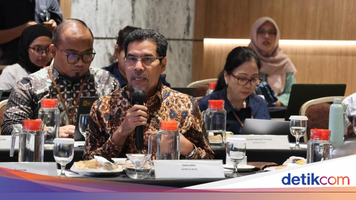 Anggota Komnas HAM: Pemulihan Korban Pelanggaran HAM Berat Butuh Perpres