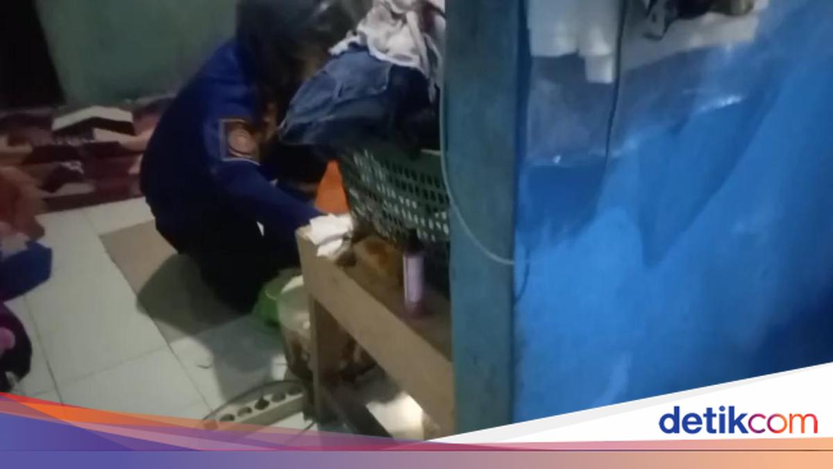 Malam-malam Ular Kobra Masuk ke Kamar, Warga Bogor Panggil Damkar