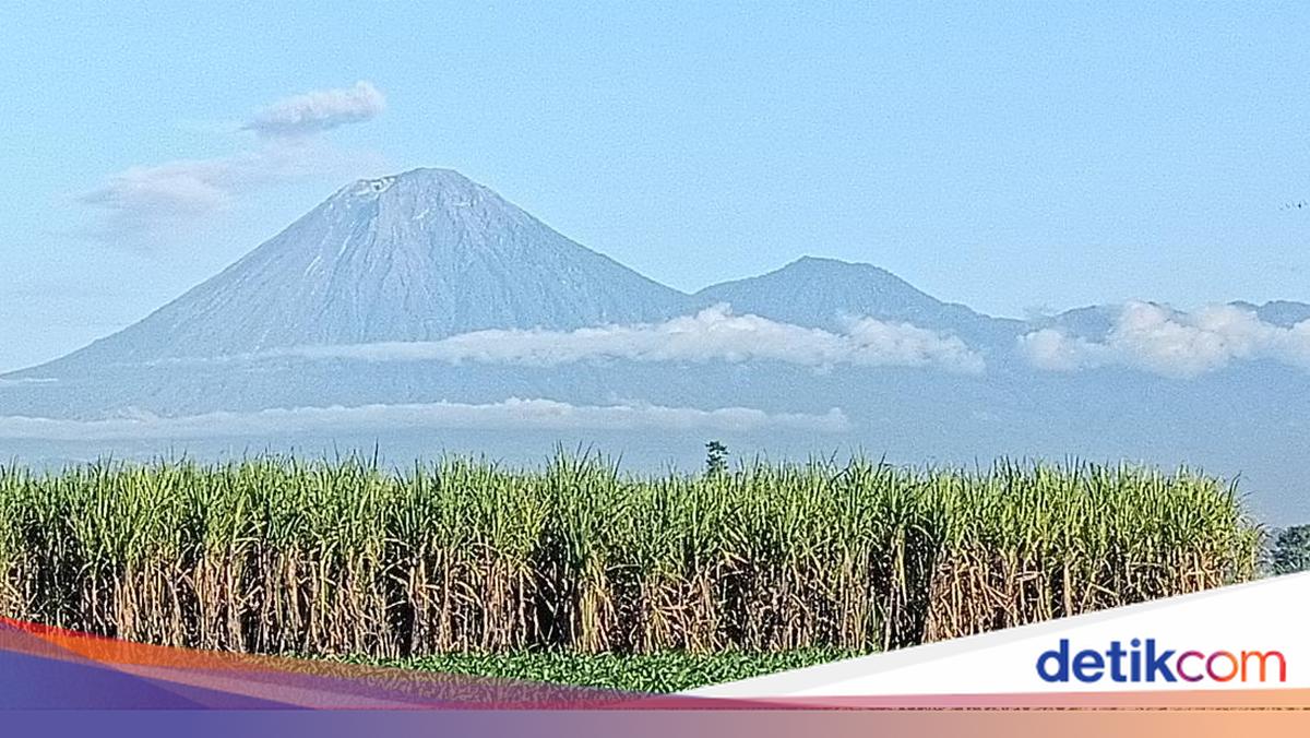 Gunung Semeru Erupsi 3 Kali Pagi Ini, Tinggi Letusan Capai 900 Meter